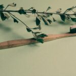 Por que devemos tirar o fluor da nossa rotina? Guia de como fazer no dia a dia